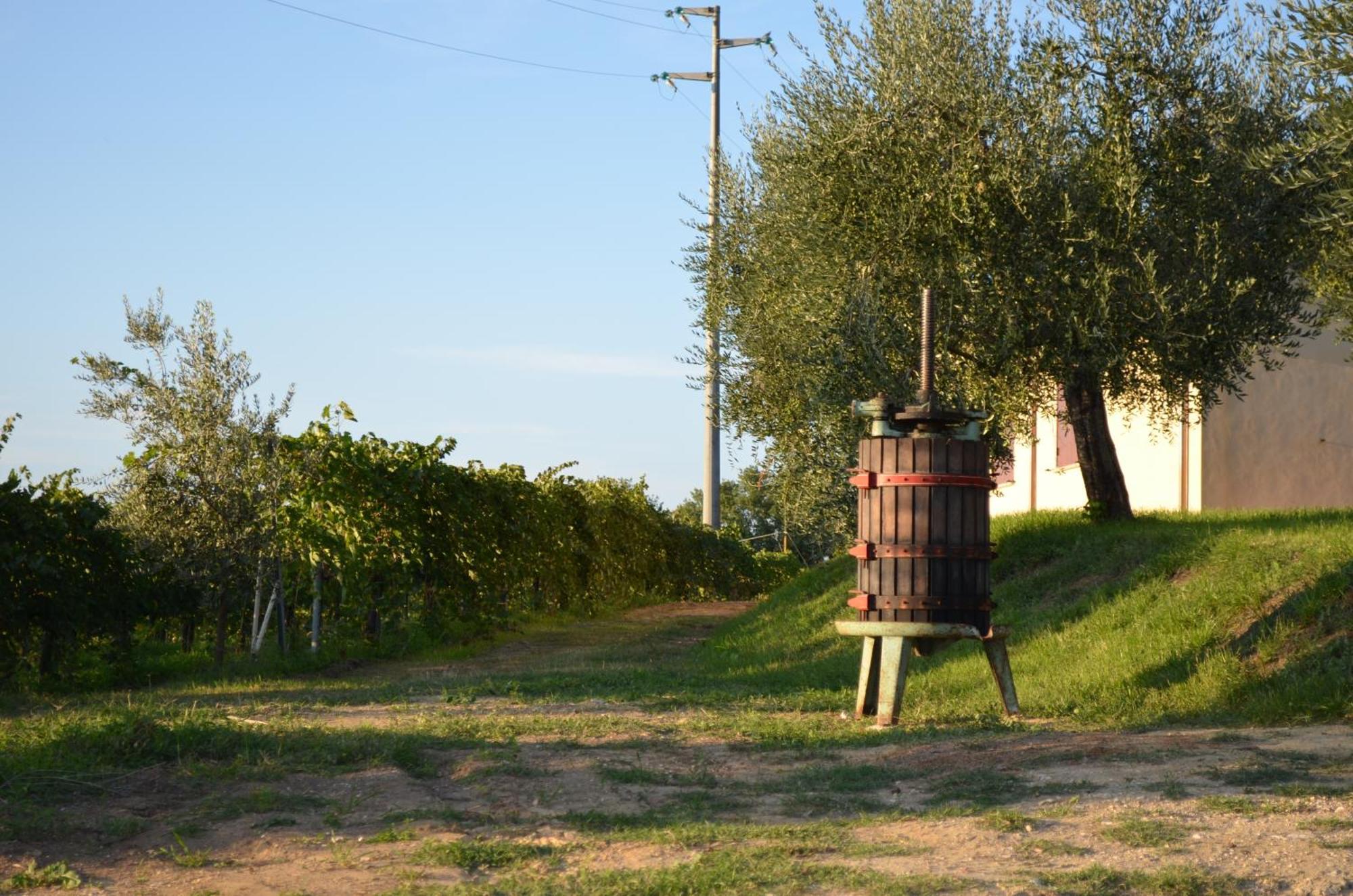 Agriturismo Casale Contessa Montebuono  エクステリア 写真