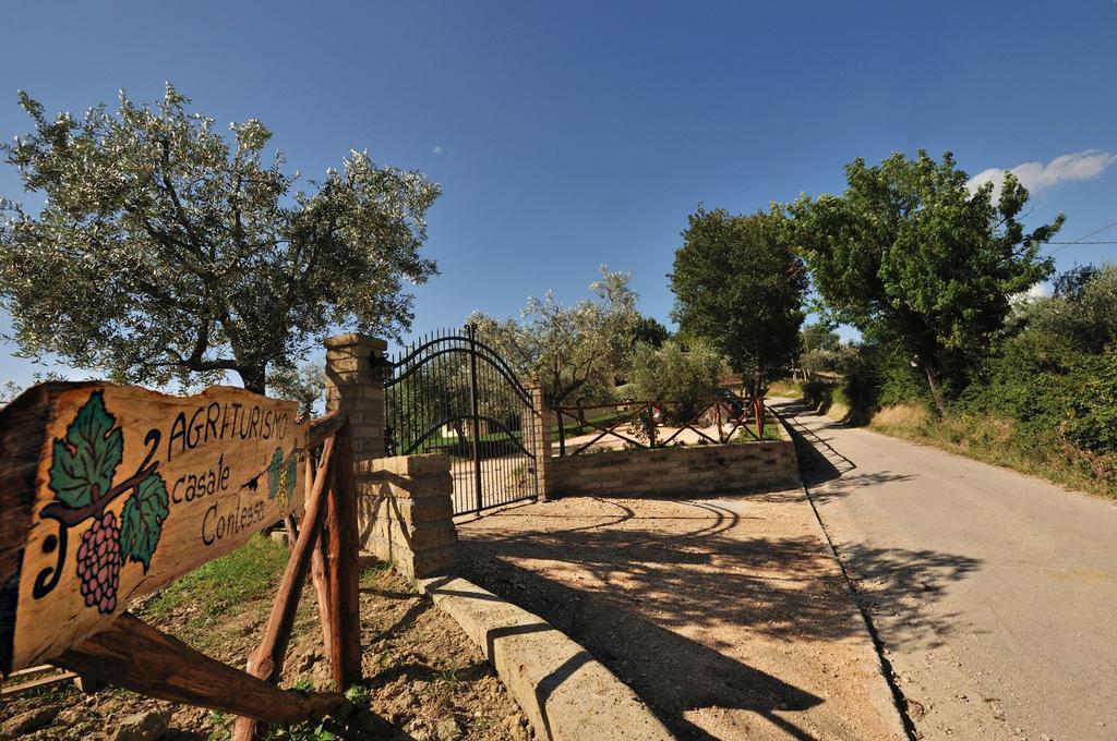 Agriturismo Casale Contessa Montebuono  エクステリア 写真